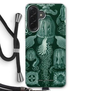 Haeckel Cubomedusae
