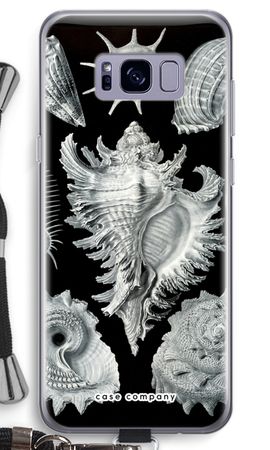 Haeckel Prosobranchia