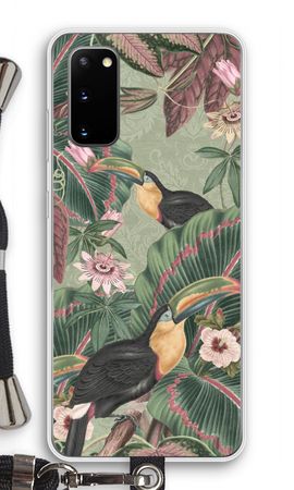 Tropical jungle toucan