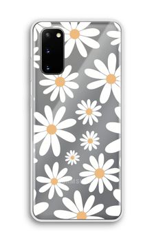 Encore des marguerites