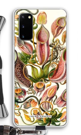 Haeckel Nepenthaceae