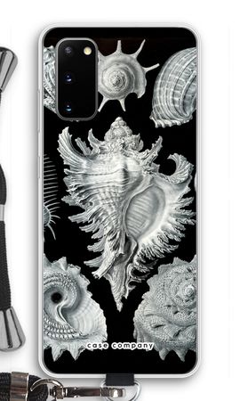 Haeckel Prosobranchia