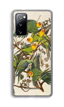 Carolina Parrot