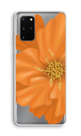 Orange Ellila flower