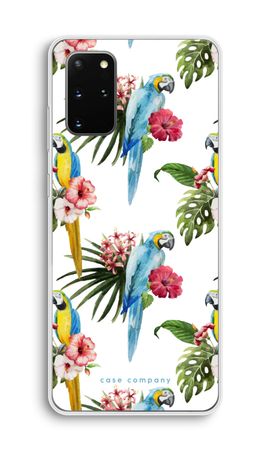 Colourful parrots
