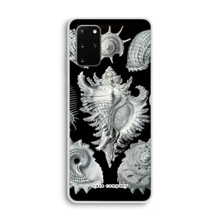 Haeckel Prosobranchia
