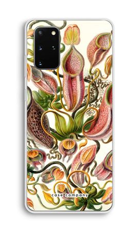 Haeckel Nepenthaceae