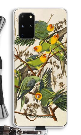 Carolina Parrot
