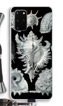 Haeckel Prosobranchia