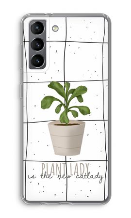 Houseplant on windowpane