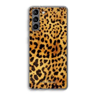Cheetah