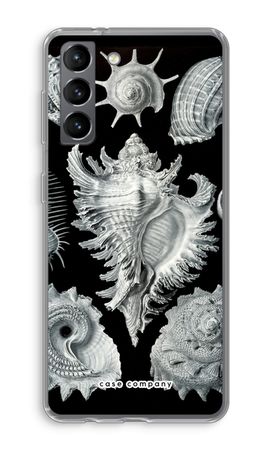 Haeckel Prosobranchia