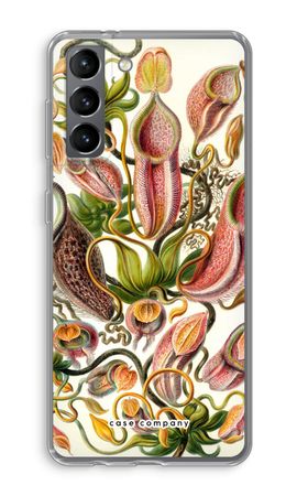 Haeckel Nepenthaceae