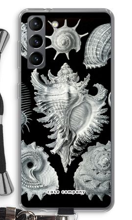 Haeckel Prosobranchia