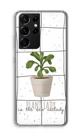 Houseplant on windowpane