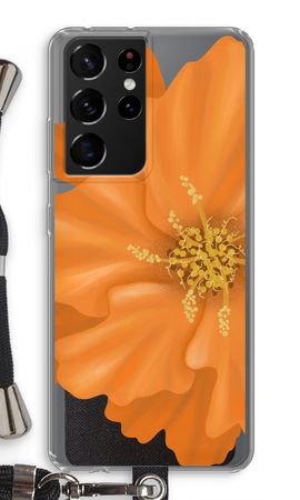 Orange Ellila flower