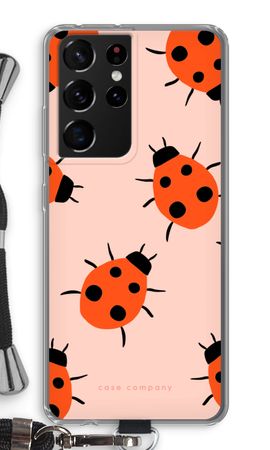 Ladybugs