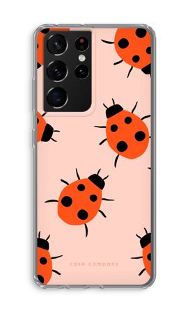 Ladybugs