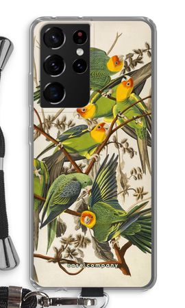 Carolina Parrot