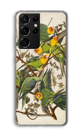 Carolina Parrot