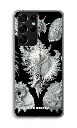 Haeckel Prosobranchia