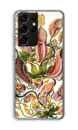 Haeckel Nepenthaceae