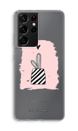 Black and white cactus