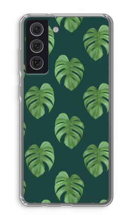 Monstera leaves