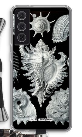 Haeckel Prosobranchia