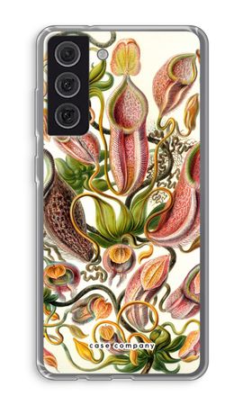 Haeckel Nepenthaceae