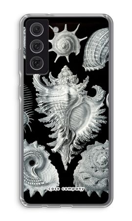Haeckel Prosobranchia