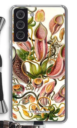 Haeckel Nepenthaceae