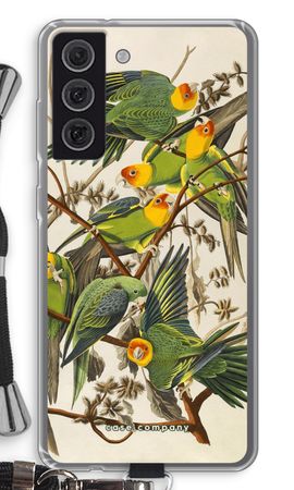 Carolina Parrot
