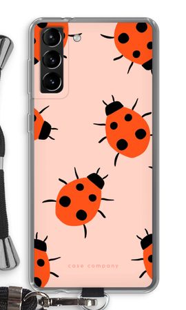 Ladybugs