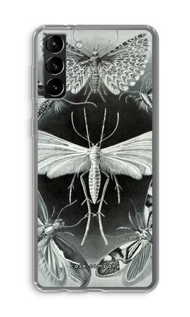 Haeckel Tineida