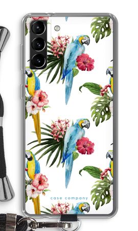 Farbenfrohe Papageien