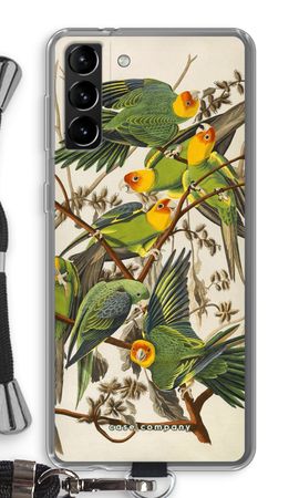 Carolina Parrot