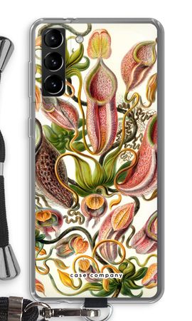 Haeckel Nepenthaceae