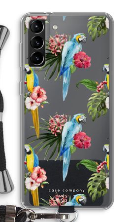 Farbenfrohe Papageien