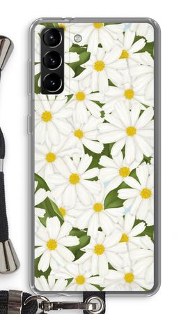 Summer Daisies