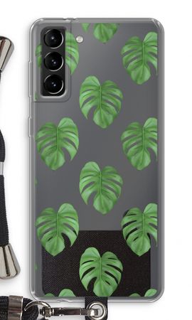 Monstera leaves