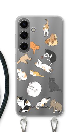 Cats