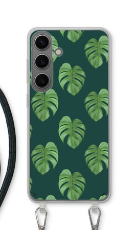 Monstera leaves