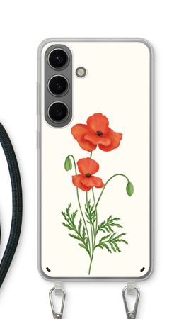 Red poppy
