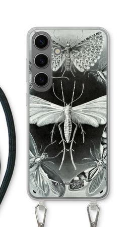 Haeckel Tineida