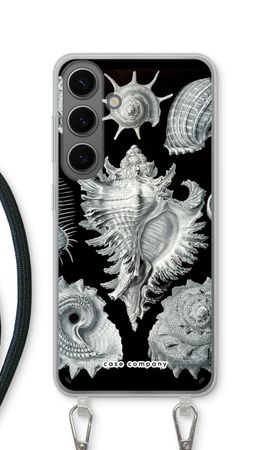 Haeckel Prosobranchia