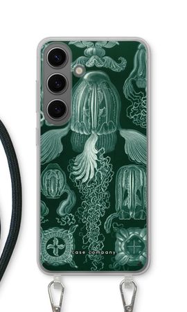Haeckel Cubomedusae
