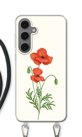 Red poppy