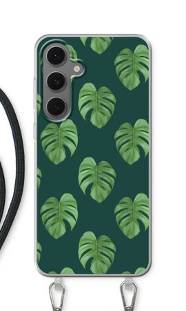 Monstera leaves