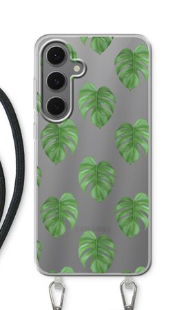 Monstera leaves